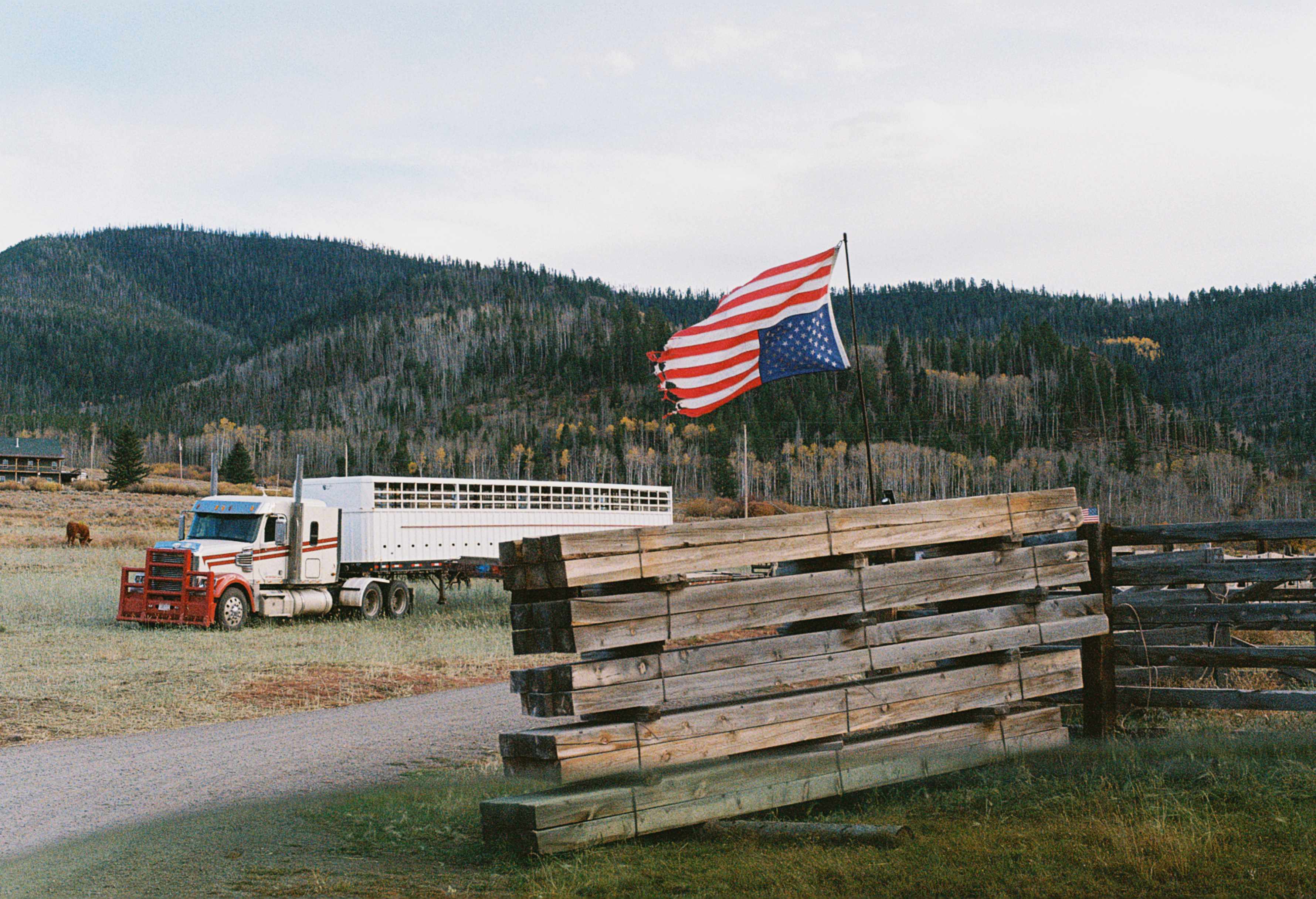 A Nation in Distress