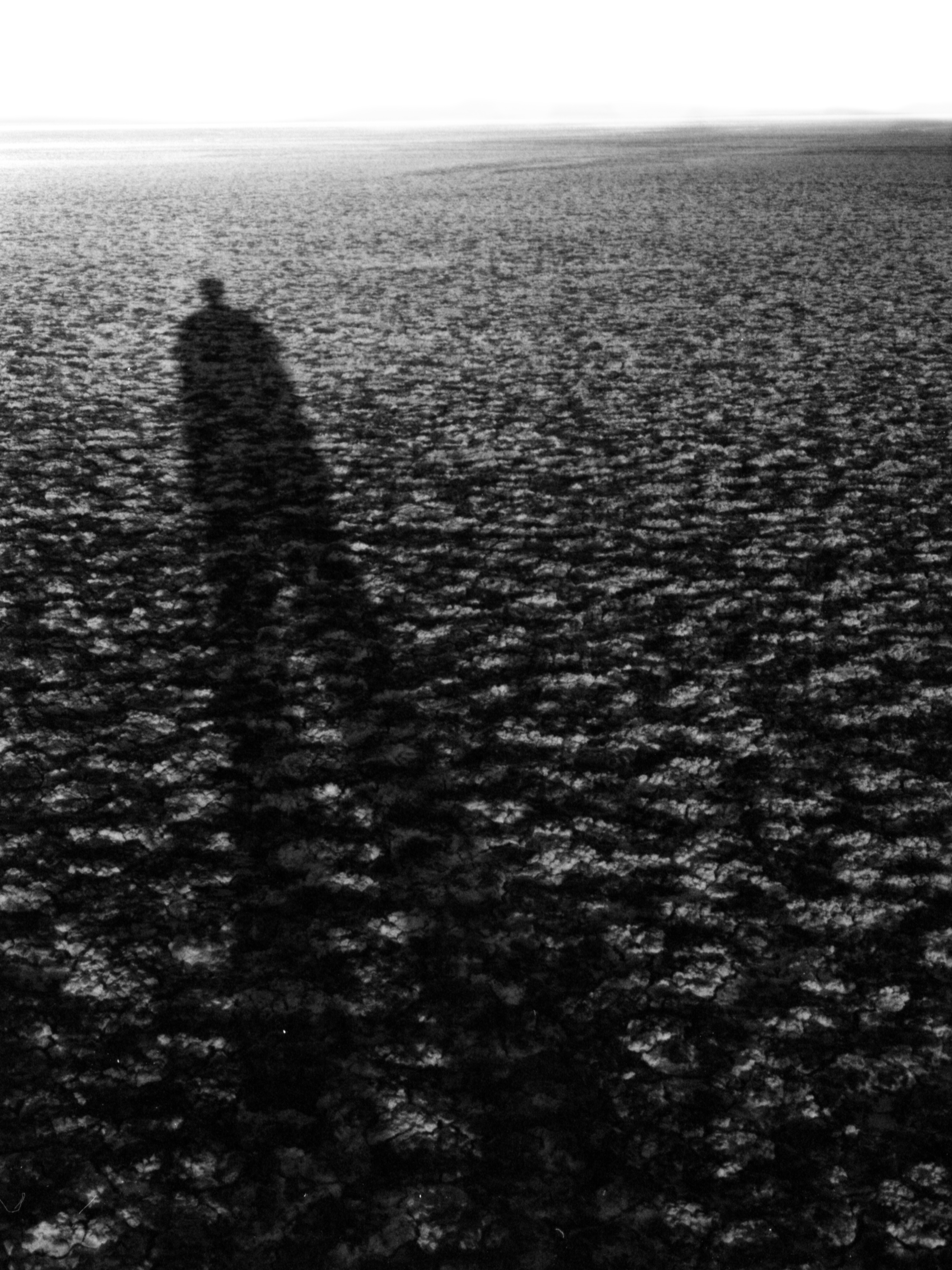 In My Shadow