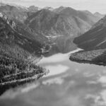 blog09 free img