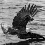 blog10 free img